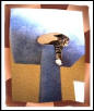 Sleepy litta gal hanging out of the hole in blue post