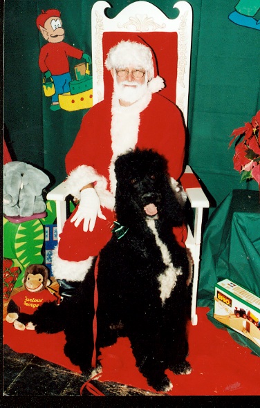 Schatzi with Santa
