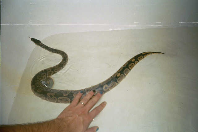 Taking a bath!