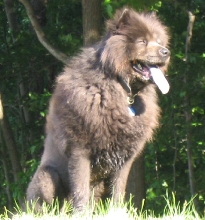 Bruno 20 months