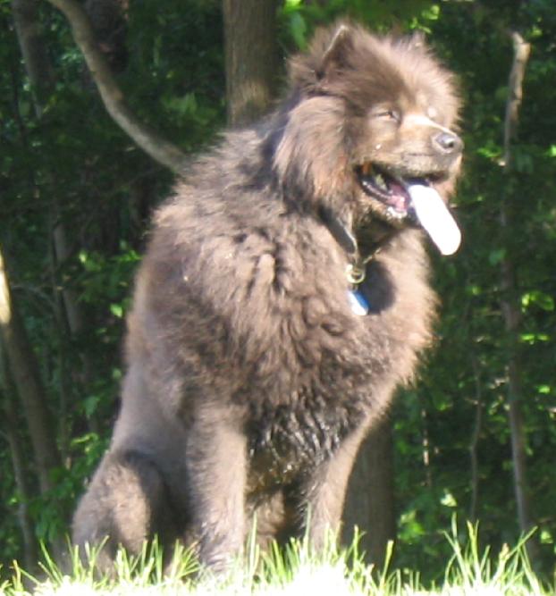 Bruno 20 months