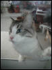 Is anyone going to let me IN?