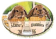 Bunnyart