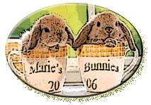 Bunnyart