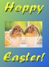 Hoppy Easter bunnies