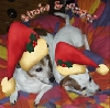 My Christmas Jacks aint they cute!