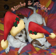 My Christmas Jacks aint they cute!