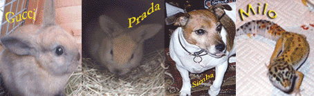 marie's pets