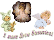 angels 'n' bunnies