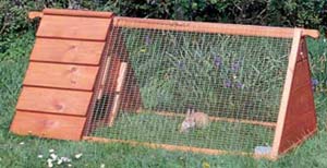 toblerone pet house