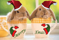 Cute Bunny Christmas mugs!