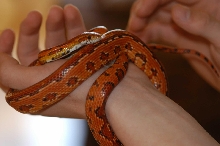 Needs a name. got one?