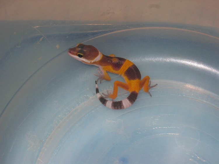 First day for hatchling born in May