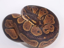 ? 5