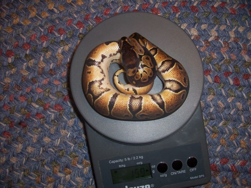 ? 4