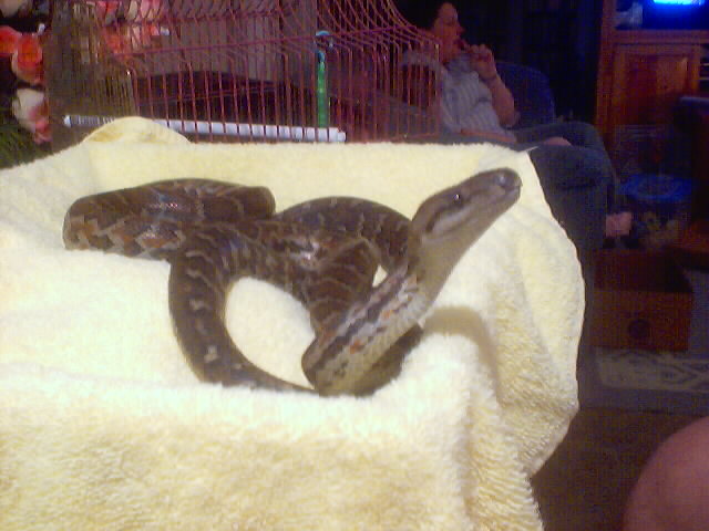She is talkin' to dad : )