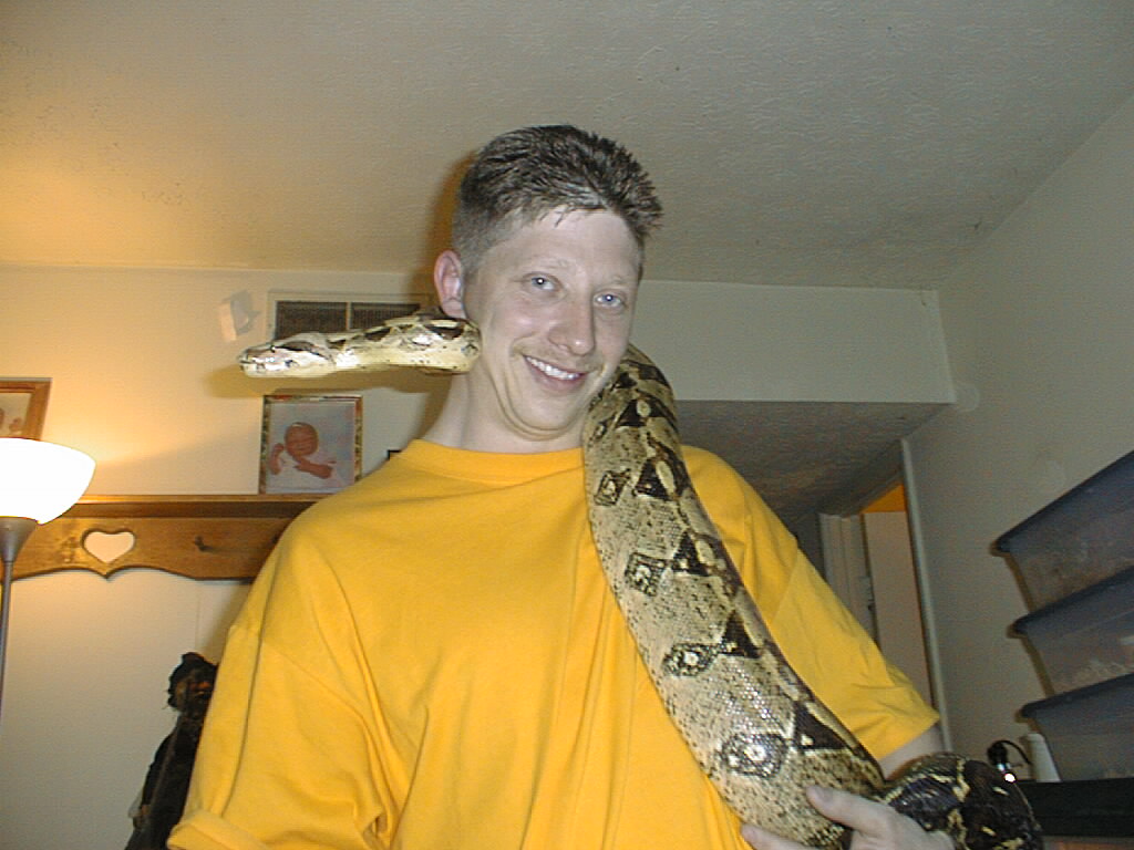 New boa