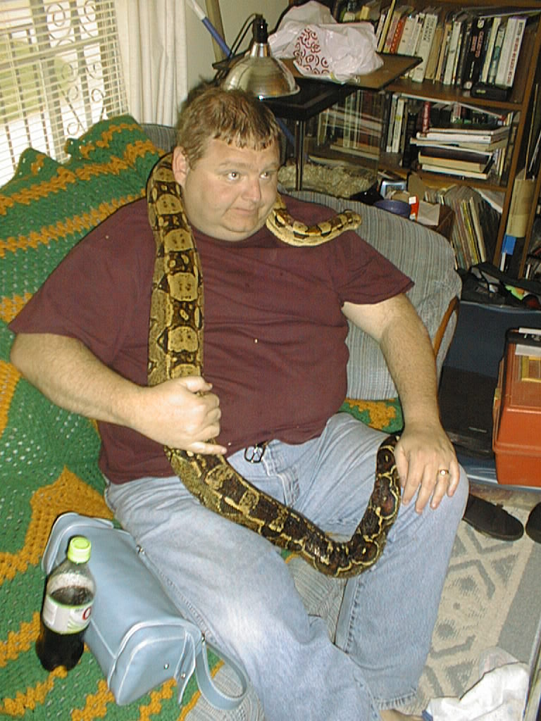 New boa