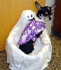 spooky and the spook