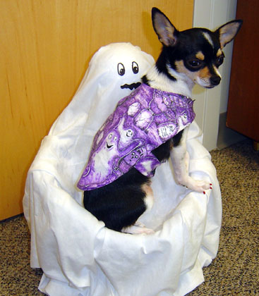 spooky and the spook