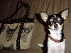 new bag and kira is 11months