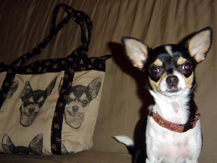 new bag and kira is 11months