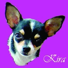 kira logo