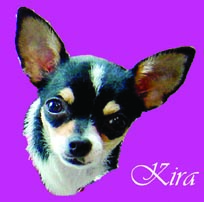 kira logo