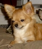 Baron 05- 8.5 months old
