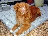 Tripp1
