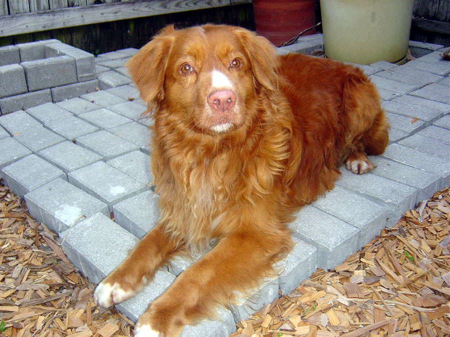 Tripp1