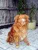 Tripp2