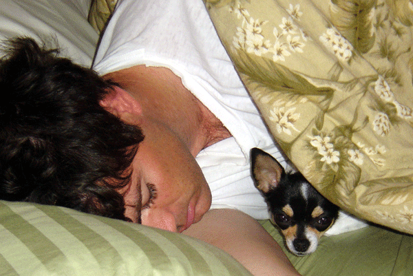 chis in bed 1