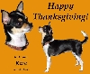 happy thnxgiving