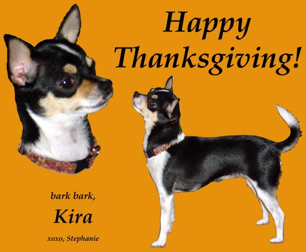 happy thnxgiving