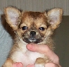 9weeks