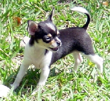 10weeks 1