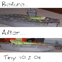 Tiny then and now