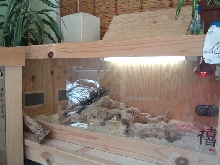 burm cage