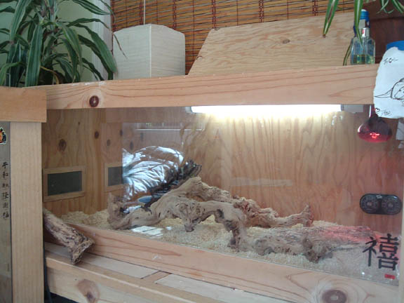burm cage
