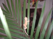 my new gecko!!