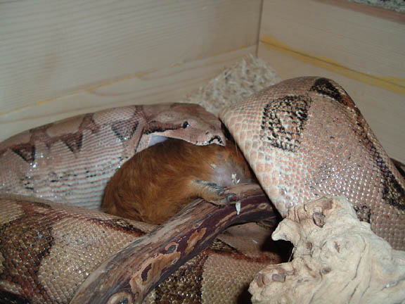 mmmmm