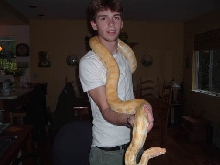 my burmese python