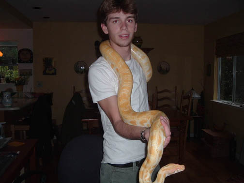 my burmese python