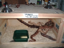 the first cage ive ever made