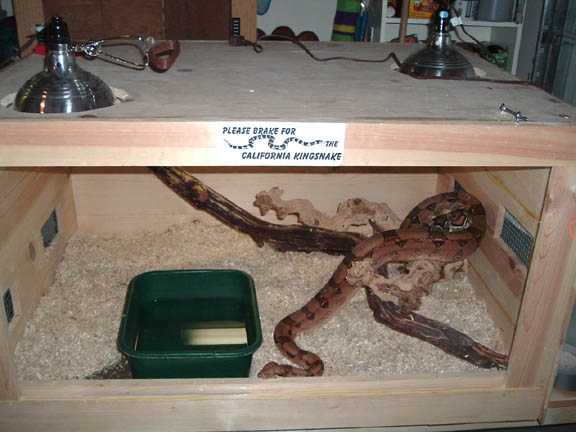 the first cage ive ever made