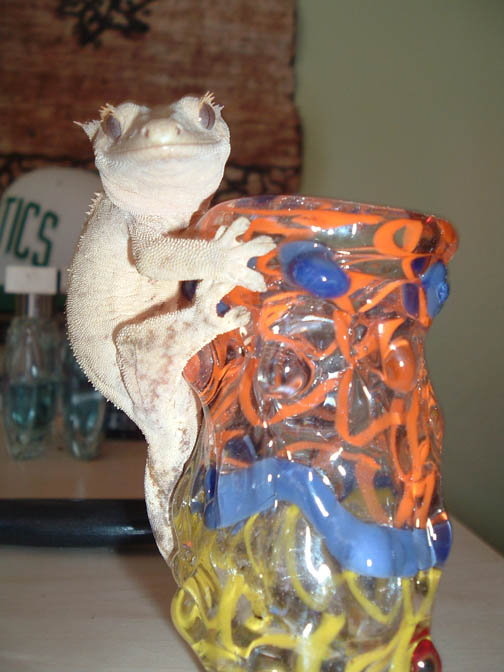 nick on sick ass nug jar