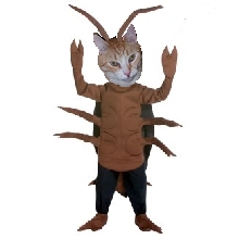 Roni Halloweeenie