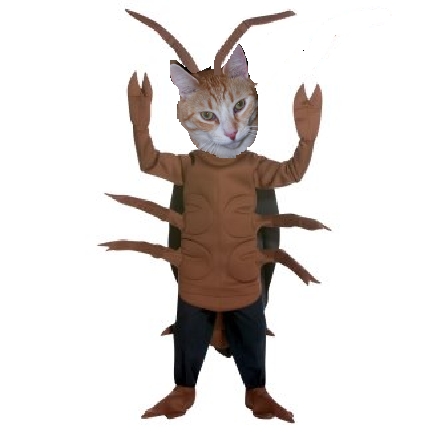 Roni Halloweeenie