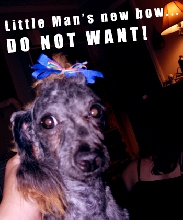 DO NOT WANT!!1